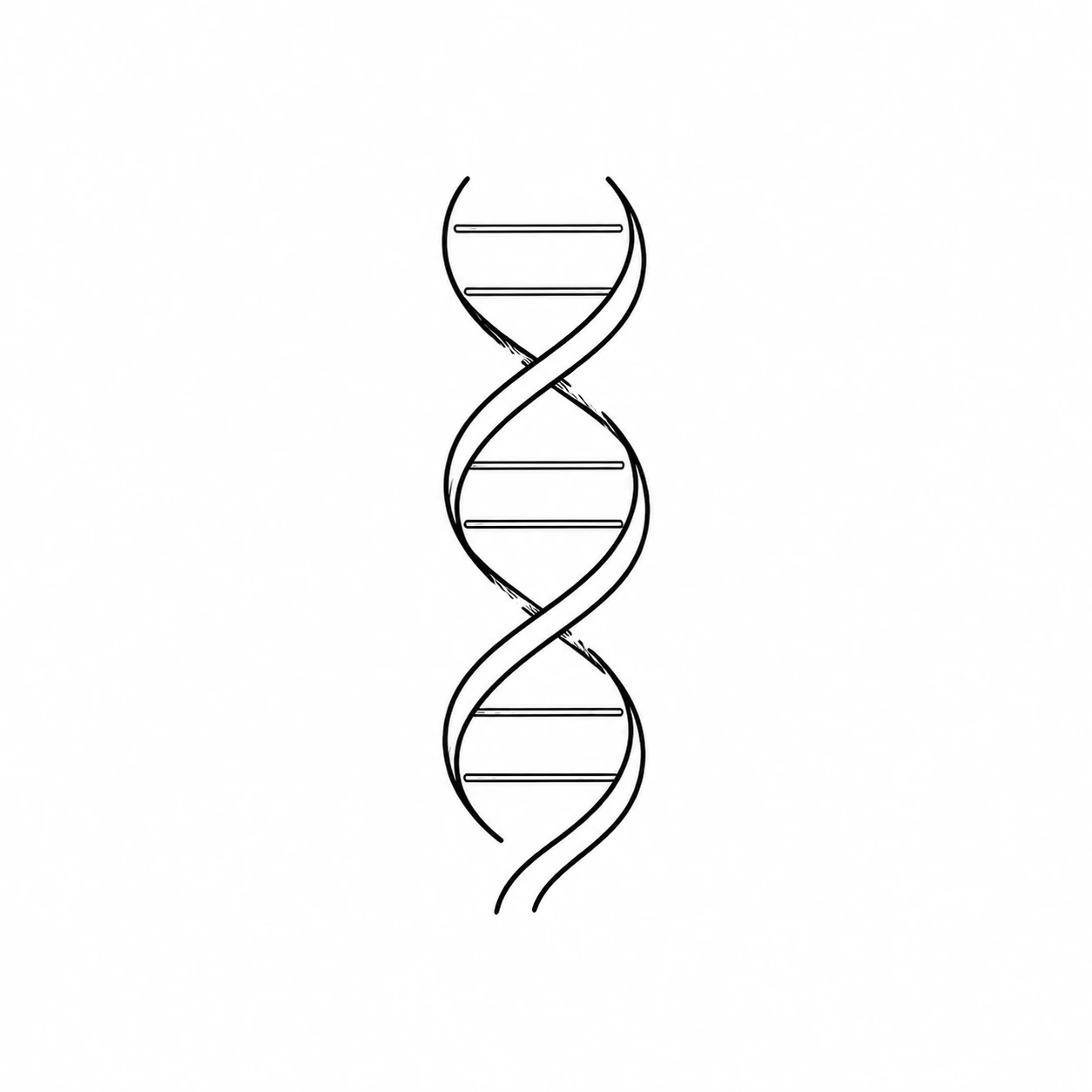 Black ink drawing of one vertical DNA double helix.